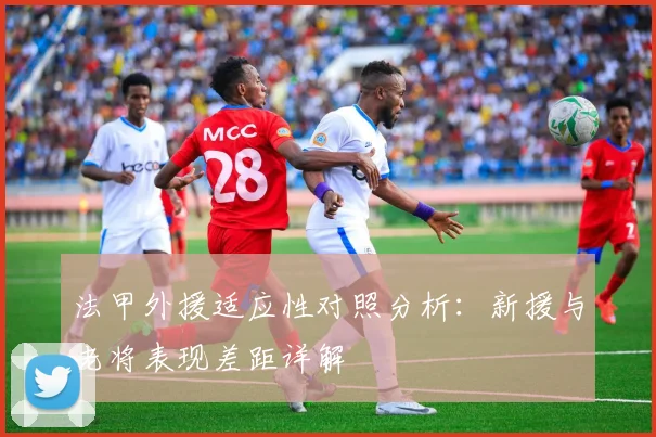 法甲外援适应性对照分析：新援与老将表现差距详解