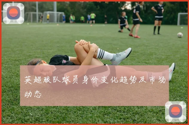 英超狼队球员身价变化趋势及市场动态