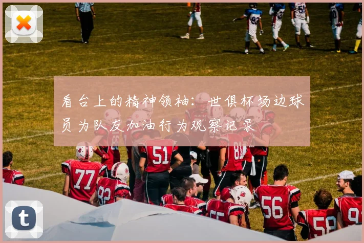 看台上的精神领袖:世俱杯场边球员为队友加油行为观察记录