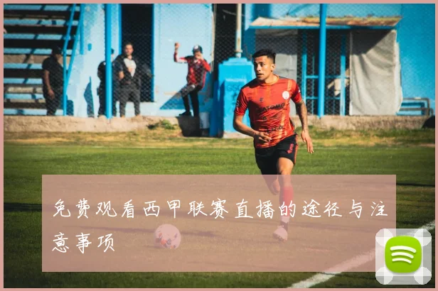 免费观看西甲联赛直播的途径与注意事项