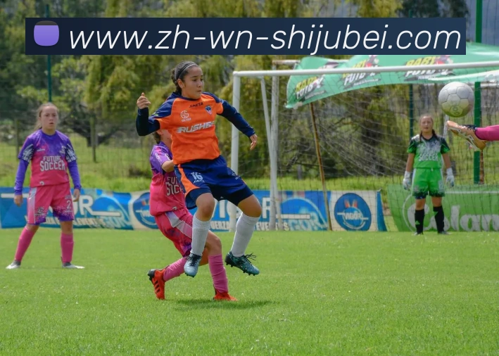 世界杯赛程表平台生态图