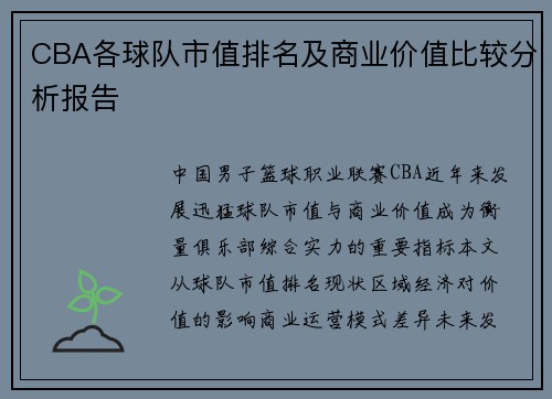 CBA各球队市值排名及商业价值比较分析报告