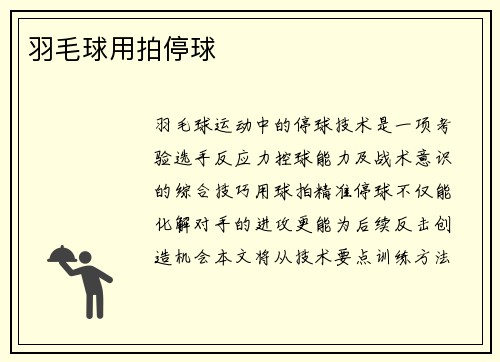 羽毛球用拍停球